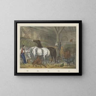Joseph Scholz - Stable.webp