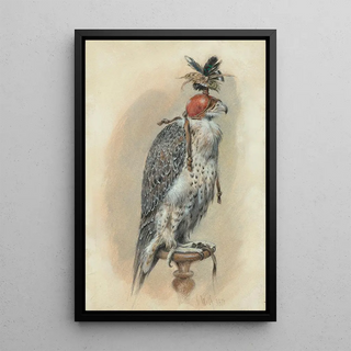 Joseph Wolf - A Gyrfalcon hooded.webp