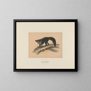 Joseph Wolf - The AyeAye.webp