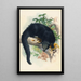 Le Binturong - Joseph Wolf — kehystetty taideteos seinällä