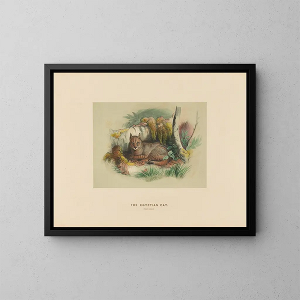 Le chat égyptien - Joseph Wolf — kehystetty taideteos seinällä