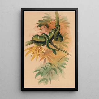 Joseph Wolf - The Green Boa.webp