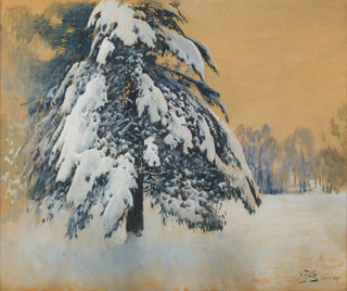 Julian Falat - Cap of snow.webp