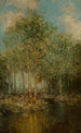 Maineen metsäinen aukeama - Julian Onderdonk — näkymä teoksesta
