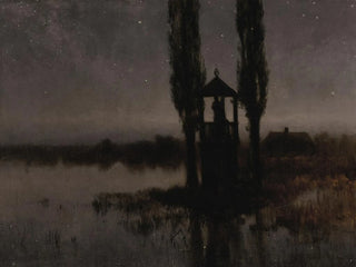 Marais nocturne - Józef Rapacki — näkymä teoksesta