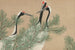 Grues (Tsuru) - Kamisaka Sekka — näkymä teoksesta