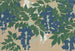 Glycine Fuji - Kamisaka Sekka — näkymä teoksesta