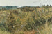 Grez-sur-Loingin maalaus - Karl Nordström — näkymä teoksesta