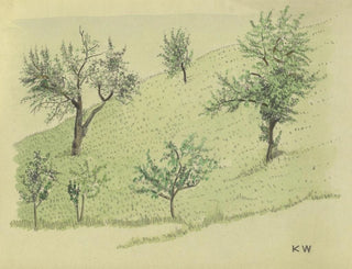 Karl Wiener - Ohne Titel Laubbume auf Hgel.webp