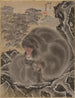 Singes - Kawanabe Kyōsai — näkymä teoksesta