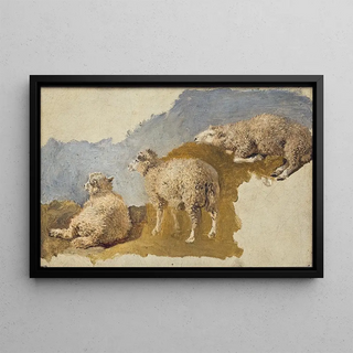 Kilian Zoll - Three Sheep Study.webp