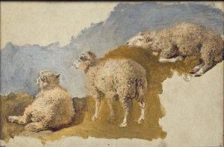 Kilian Zoll - Three Sheep Study.webp
