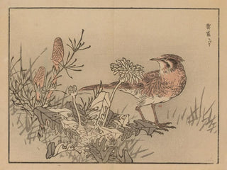 Kno Bairei - Bairei gafu Pl29.webp