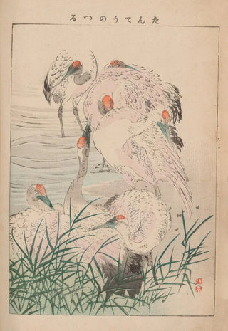Kotei Fukui - Kacho gafu Pl03.webp