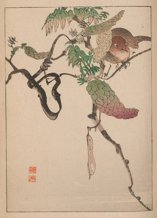 Kotei Fukui - Kacho gafu Pl10.webp