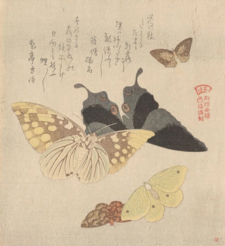 Guncho Gafu 4 - Kubo Shunman Perhospilven maalausopas