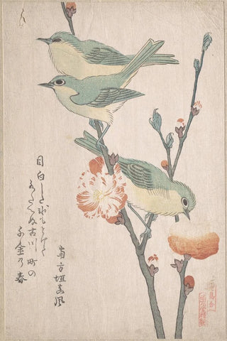 Kubo Shunman - Japanese Whiteeyes on a Branch of Peach Tree.webp
