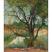 Maalauksen jäljennös L'Arbre - Suzanne Valadon