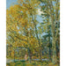Maalauksen jäljennös La baigneuse - Childe Hassam