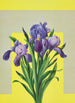 Iris - Lafayette F. Cargill — näkymä teoksesta