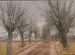 Une route près de Vindern, Zealand - Laurits Andersen Ring — näkymä teoksesta
