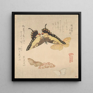 Le Manuel de peinture de Flock of Butterflies Guncho Gafu 3 - Kubo Shunman