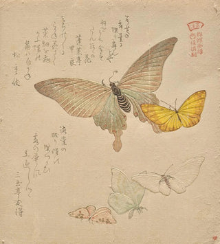 Le Manuel de peinture de la nuée de papillons Guncho Gafu 2 - Kubo Shunman