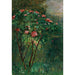 Maalauksen jäljennös Le Rosier Fleuri - Gustave Caillebotte