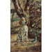 Maalauksen jäljennös Le chien de l'artiste Flèche - Henri de Toulouse-Lautrec