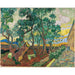 Maalauksen jäljennös Le jardin de l'hôpital Saint-Paul - Vincent van Gogh