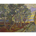 Maalauksen jäljennös Le jardin de l'hôpital Saint-Paul - Vincent van Gogh