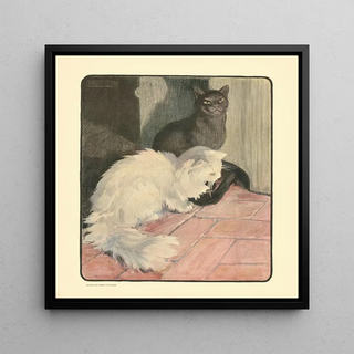 Le livre du chat pl 1 - Elizabeth Fearne Bonsall