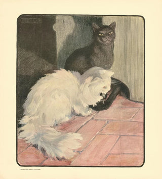 Le livre du chat pl 1 - Elizabeth Fearne Bonsall