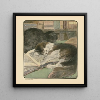 Le livre du chat pl 4 - Elizabeth Fearne Bonsall