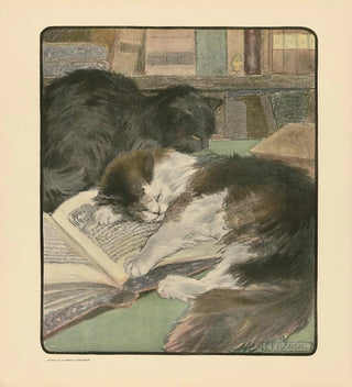 Le livre du chat pl 4 - Elizabeth Fearne Bonsall
