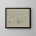 Conceptions pour un filigrane de billet de banque: Pégase, colombe, tête de femme, blason et main avec rose - Leo Gestel — kehystetty taideteos seinällä