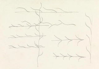 Leo Gestel - Ontwerpen voor een watermerk van een bankbiljet ornament.webp