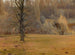 Fragment de parc - Leon Szpydrowski — näkymä teoksesta
