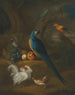 Un ara et d'autres oiseaux dans un paysage - Leonard Hübner — näkymä teoksesta