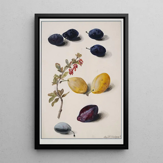 Leopold Zinngger - Fruits.webp