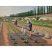 Maalauksen jäljennös Les Jardiniers - Gustave Caillebotte