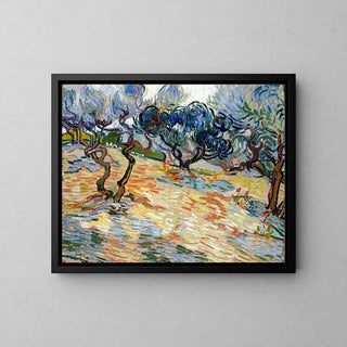 Reproduction tableau | Les Oliviers - Vincent Van Gogh | Poster - Toile - Aluminium