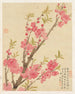 Fleurs Pl. 01 - Liang Yuwei — näkymä teoksesta