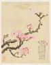 Fleurs Pl. 02 - Liang Yuwei — näkymä teoksesta