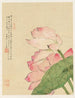 Fleurs Pl. 04 - Liang Yuwei — näkymä teoksesta