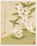 Fleurs Pl. 06 - Liang Yuwei — näkymä teoksesta