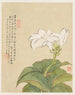 Fleurs Pl07 - Liang Yuwei — näkymä teoksesta