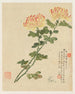 Fleurs Pl10 - Liang Yuwei — näkymä teoksesta
