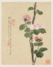 Fleurs Pl11 - Liang Yuwei — näkymä teoksesta