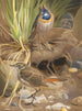 Gorge bleue - Léon-Paul Robert — näkymä teoksesta